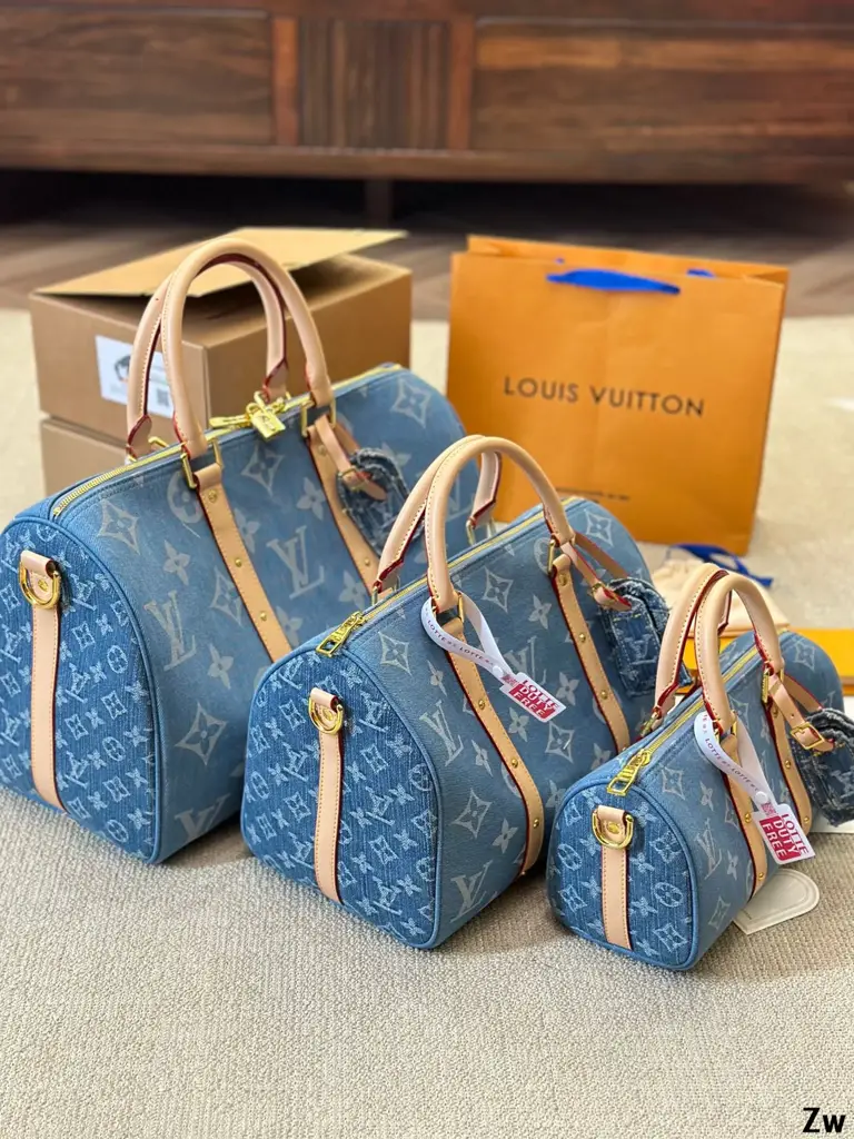 Louis Speedy nano Denim bag - image 1